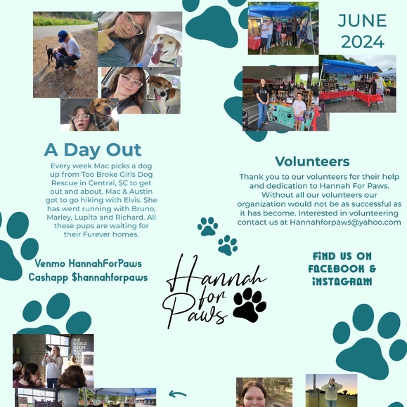 Meet your Posher, Hannah for Paws - Picture 5 of 16